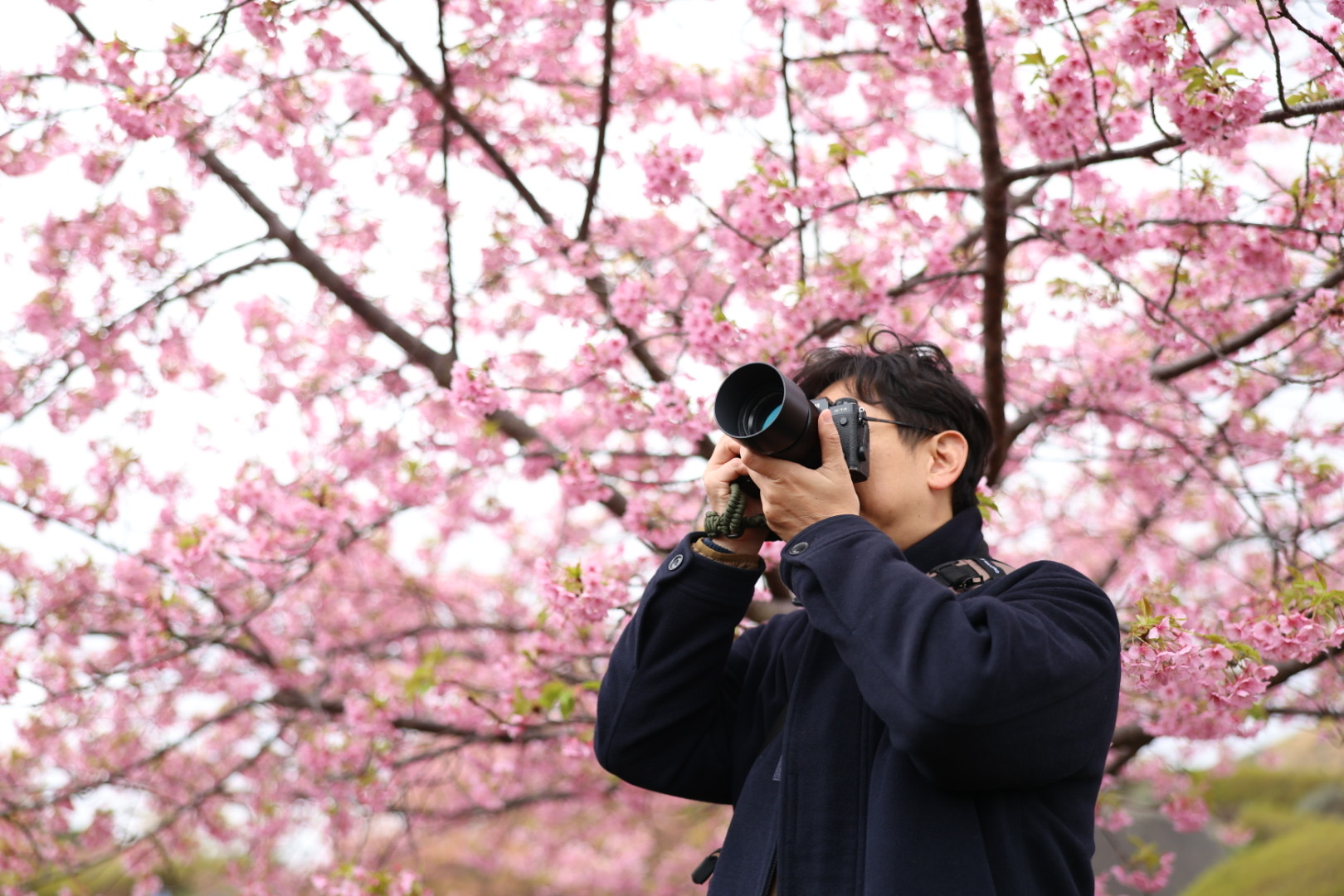 麗星郵輪探索星號 / 舌尖上的郵輪，釜山、長崎、那霸玩六天五夜(下)